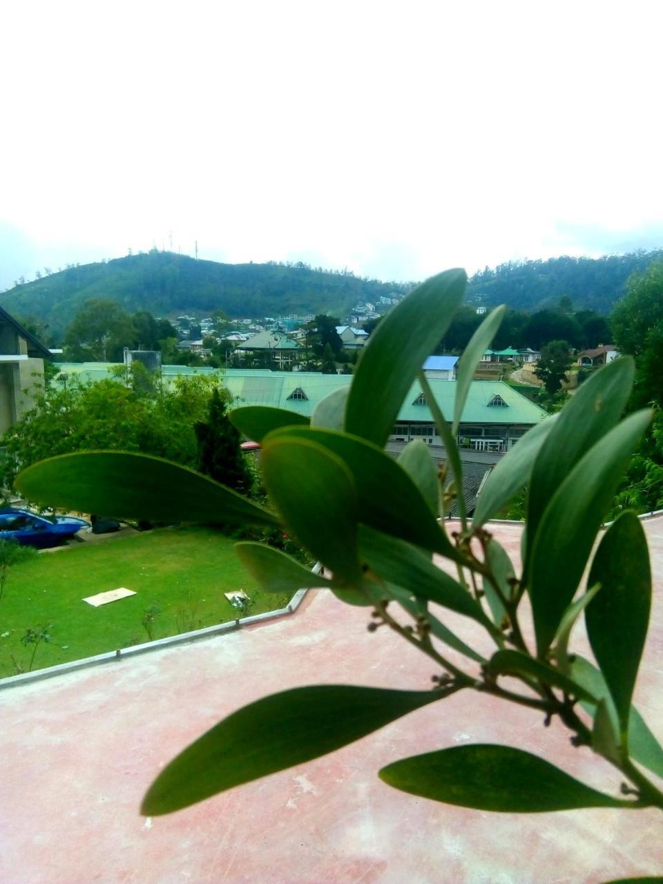 Nuwara Eliya Mountain View Homestay Exterior foto